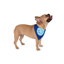 Load image into Gallery viewer, Pet Bandana