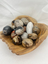 Load image into Gallery viewer, Petrified Wood tumble stones